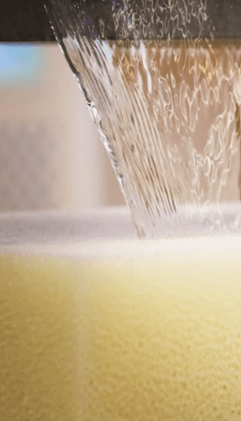 Espuma Reticulada